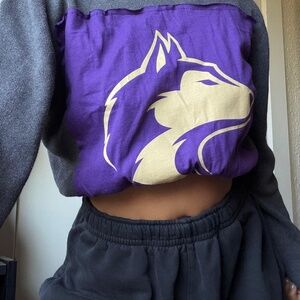 Washington Huskies Crop Charcoal Mockneck Sweater Vintage Medium